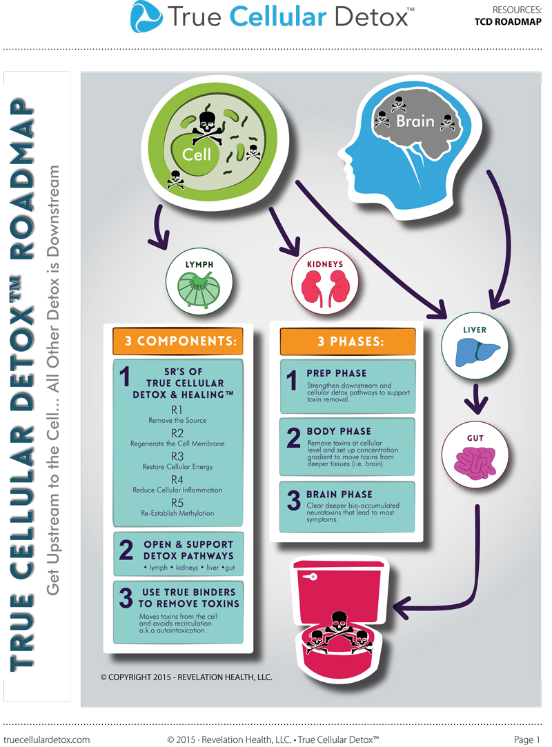 Detoxification in Livonia MI